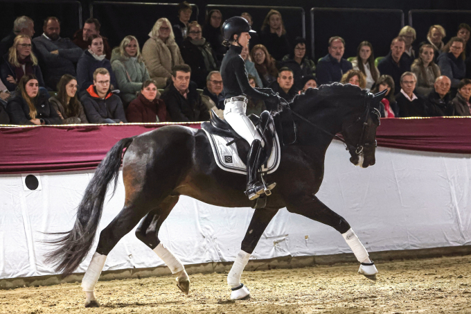 Dressurhengste Schleier - Fontainebleau l'ami - Giulia Gasztecki