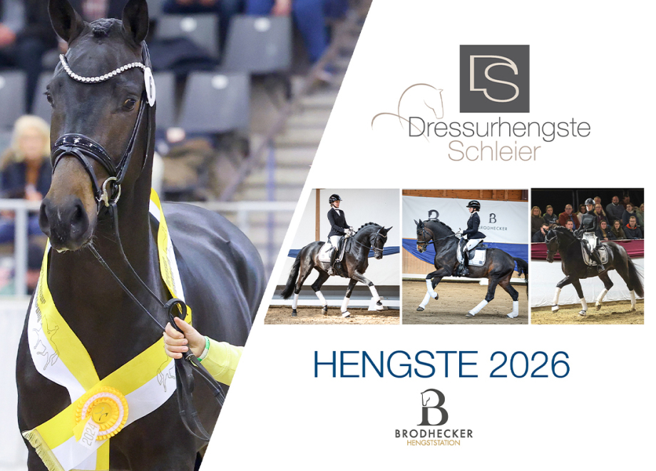 Hengstkatalog 2023 - Dressurhengste Schleier
