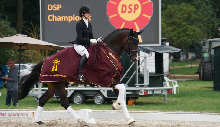 DSP Desandro - Nördlingen 2016