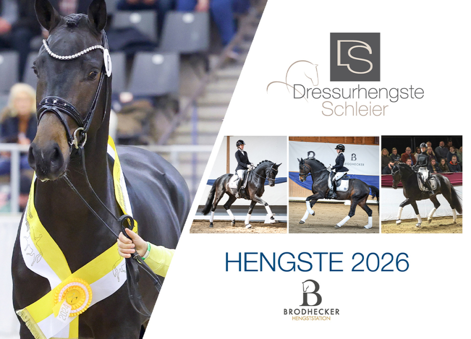 Hengstkatalog 2025 - Dressurhengste Schleier