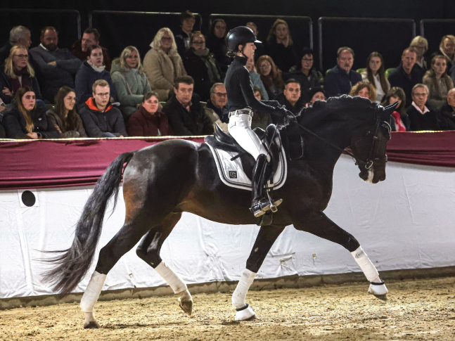 Fontainebleau l'ami, Dressurhengste Schleier - Leandra Hahn