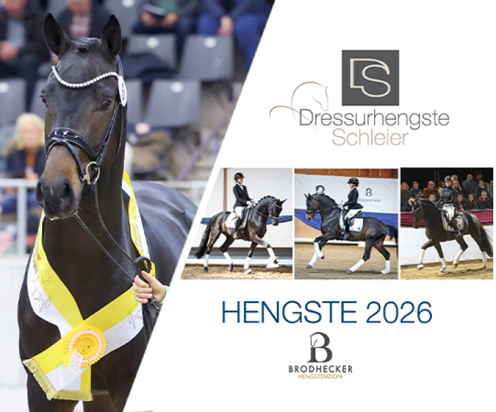 Burghof Hengstschau 2022 - Dressurhengste Schleier