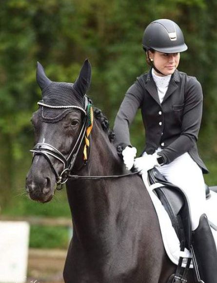 Flashback's Symphonie (Flashback x Goldfever)