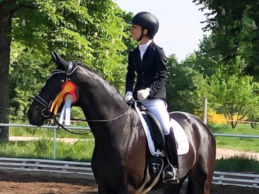 Deine Freude (DSP De Sandro x Freudenstern)