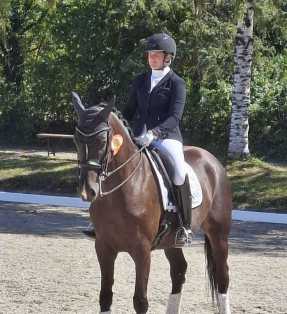 Darcy E (DSP De Sandro x Cabaret) - Dressurhengste Schleier