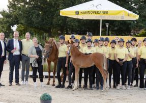 Dotti (DSP De Sandro x Sir Calypso) - Dressurhengste Schleier