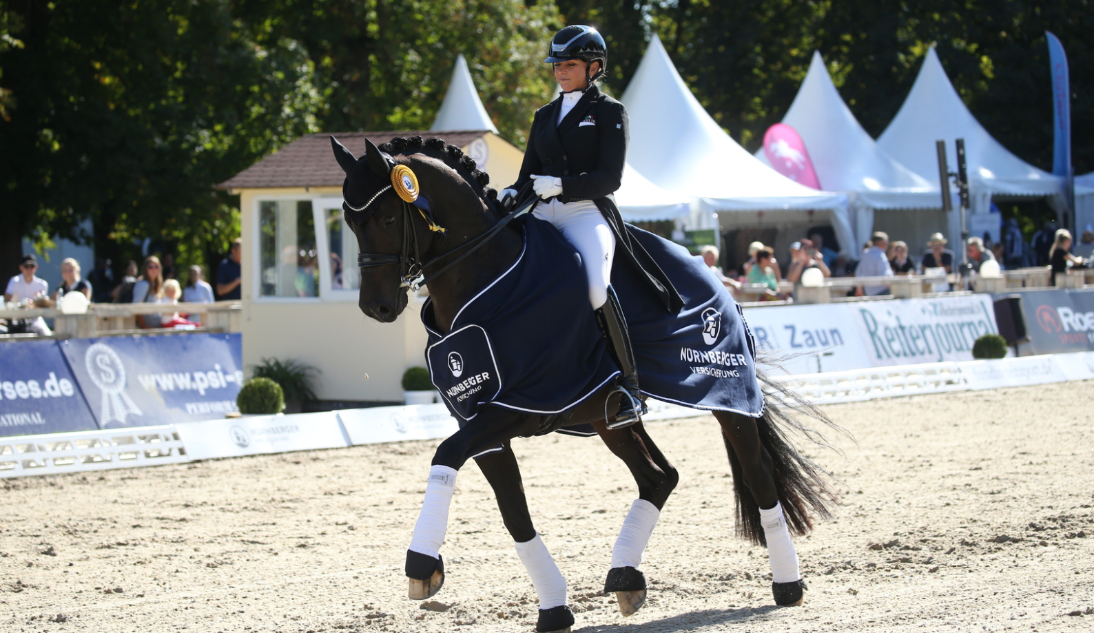 Flashback - Dressurhengste Schleier, Dorothee Schneider,