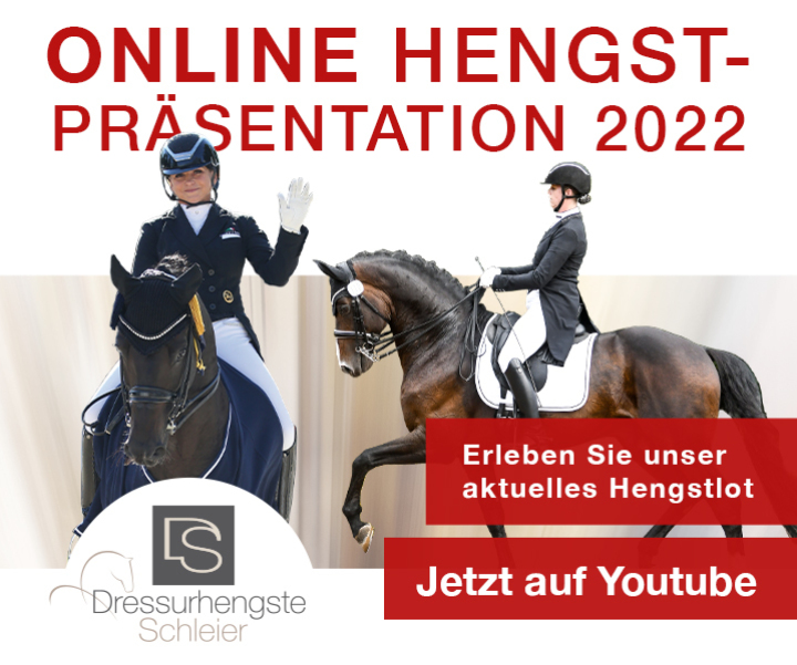 Burghof Hengstschau 2022 - Dressurhengste Schleier