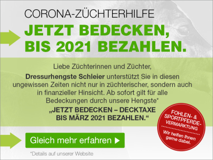 Dresssurhengste Schleier - Corona-Info 2020