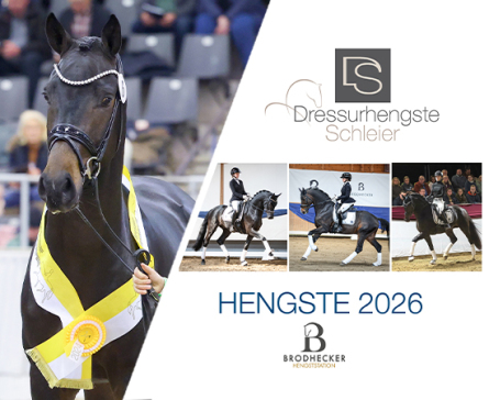 Hengstkatalog 2022 - Dressurhengste Schleier