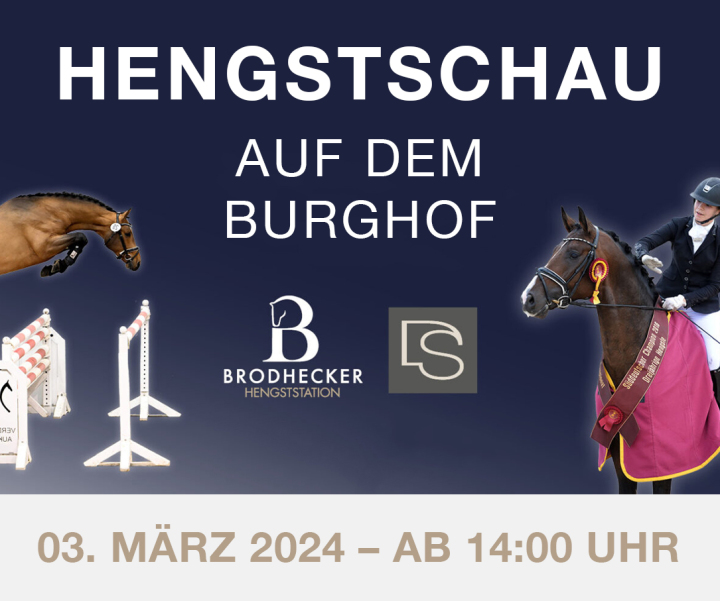 Dressurhengste Schleier - Maddox - Millennium, Donnerhall